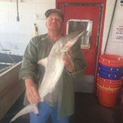 Bobby Wheeler's photo