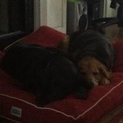 Beverly Bentley's photo