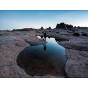Brennen Bartlett's photo