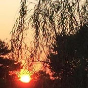 Sunny Hill's photo