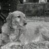 Jay Branum's photo