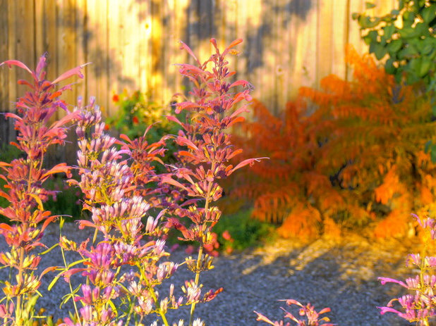 Современный Сад by Waterwise Landscapes Incorporated