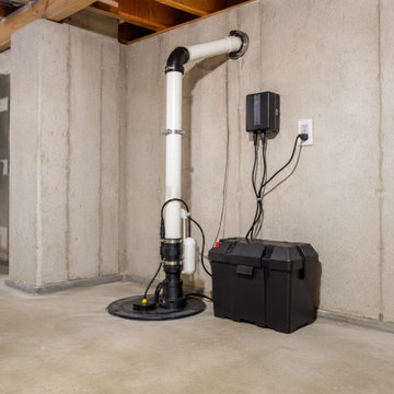 Sump Pumps & Battery Backups