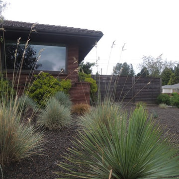 Portland Dry Landscape
