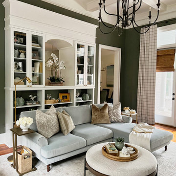 Traditional Transformation Living Room Built-In