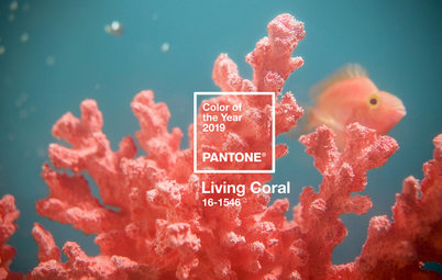 Come Usare il Living Coral in Casa, Colore Pantone del 2019