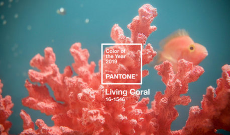 Pantone 2019: Årets färg är korallrevsrosa