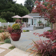 Landscape Ideas