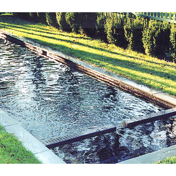 Custom Backyard Pool Portfolio
