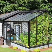 Greenhouse, Shed & Rear Patio
