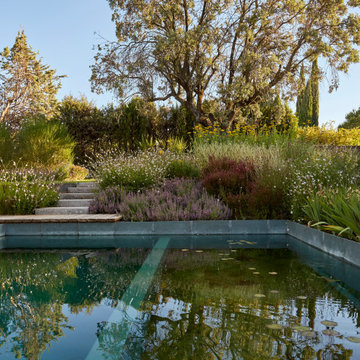 JARDÍN LIBRE EN LAS ROZAS