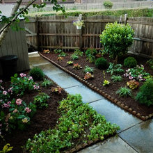 Side yard