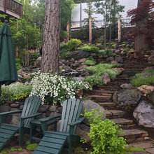 Backyard Landscaping
