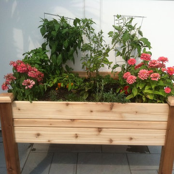 Vegetable & Herb Gardens