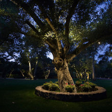 Outdoor Landscape