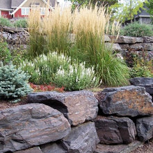 Landscape Ideas
