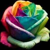 Foto de Rose Irons
