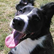 Debbie Hoffman Owens's photo