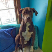 Carrie Grochowski's photo