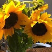 Cathy Atchley's photo