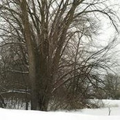Anne Bruss's photo
