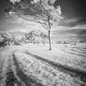 Photo de Mark Burdis
