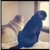 Julie Studer's photo