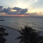 Michele Murphy's photo