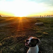 Luigi Palmieri's photo