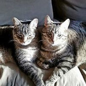 Foto von Sharon Glim
