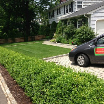 Expert Hand Pruning