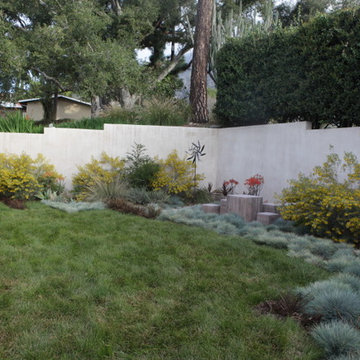 IdealMow Lawns:  Carex Pansa