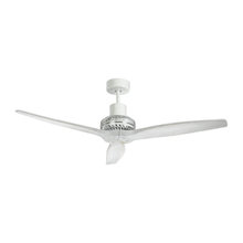 ceiling fans