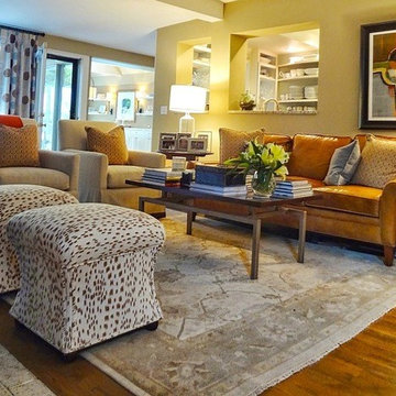Living Room Designs