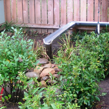 Contemporary Backyard with Rain Garden