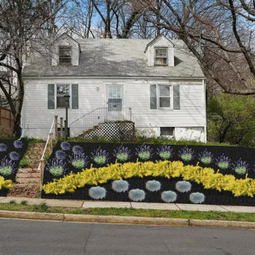 Landscape Design Projects