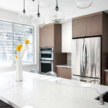 Two-Toned Contemporary Kitchen Renovation