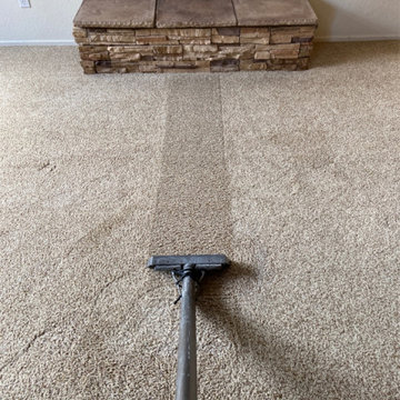 Five-Star Reviewed Carpet Cleaning in Tucson