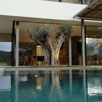 Construcción vivienda unifamiliar con Piscina