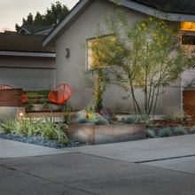 Front yard