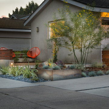 Modern Long Beach Drought Tolerant Design