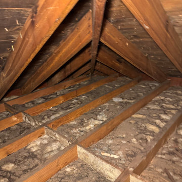 Attic Insulation MARCH 27 2025