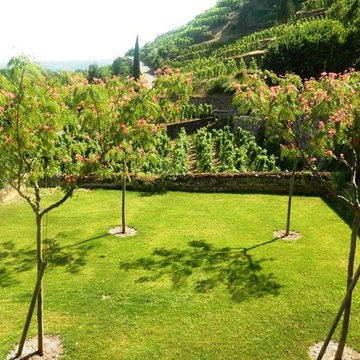 Domaine Viticole de CHÂTEAU - GRILLET