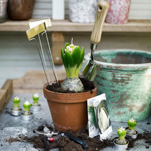 Outdoor ideas