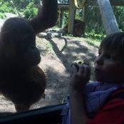 Terry Hiebert's photo