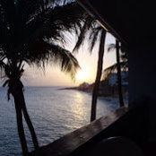 Peggy Ambrose's photo