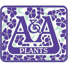 A&A Plants, Inc.