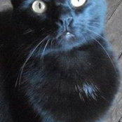 Barbara Jarrett's photo