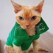 Elizabeth Mccarron's photo