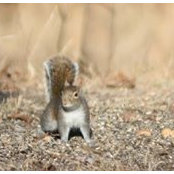 Foto von Sherry Waldrep